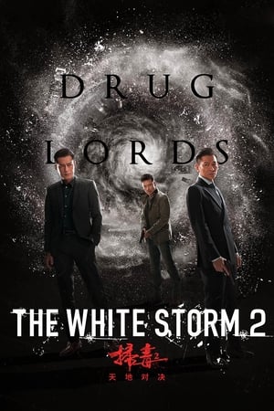 The White Storm 2: Drug Lords (2019) Hindi (Org) 720p HDRip [950MB]